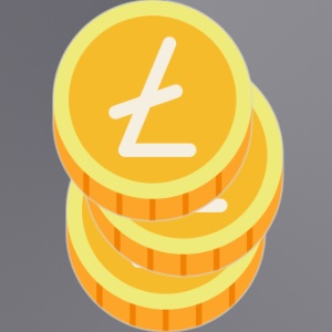 30 LTC Wallet